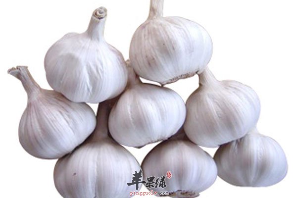 吃什么素菜补硒最快呢（吃什么素菜补硒最快呢）-硒宝网