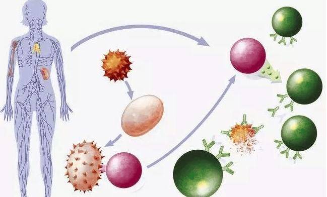 手术后吃什么补硒最快(手术后吃什么补硒最快)-硒宝网