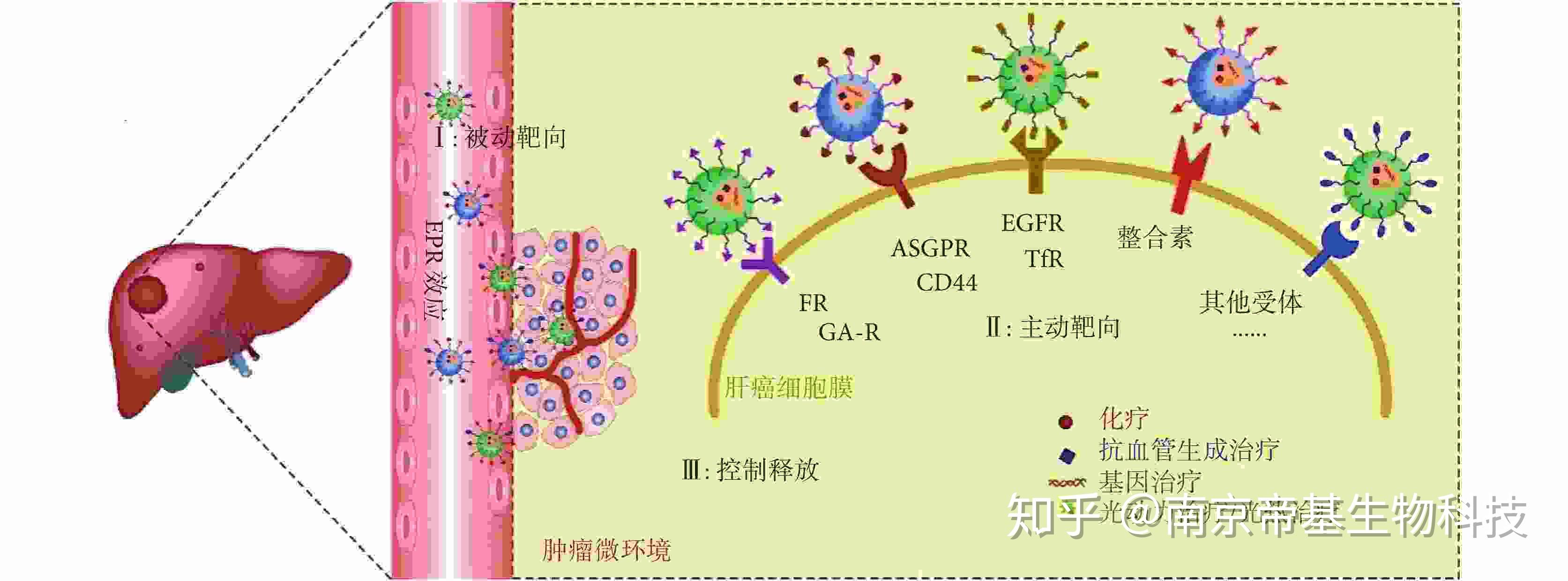 肝炎用什么补硒药物好(肝病补硒)-硒宝网