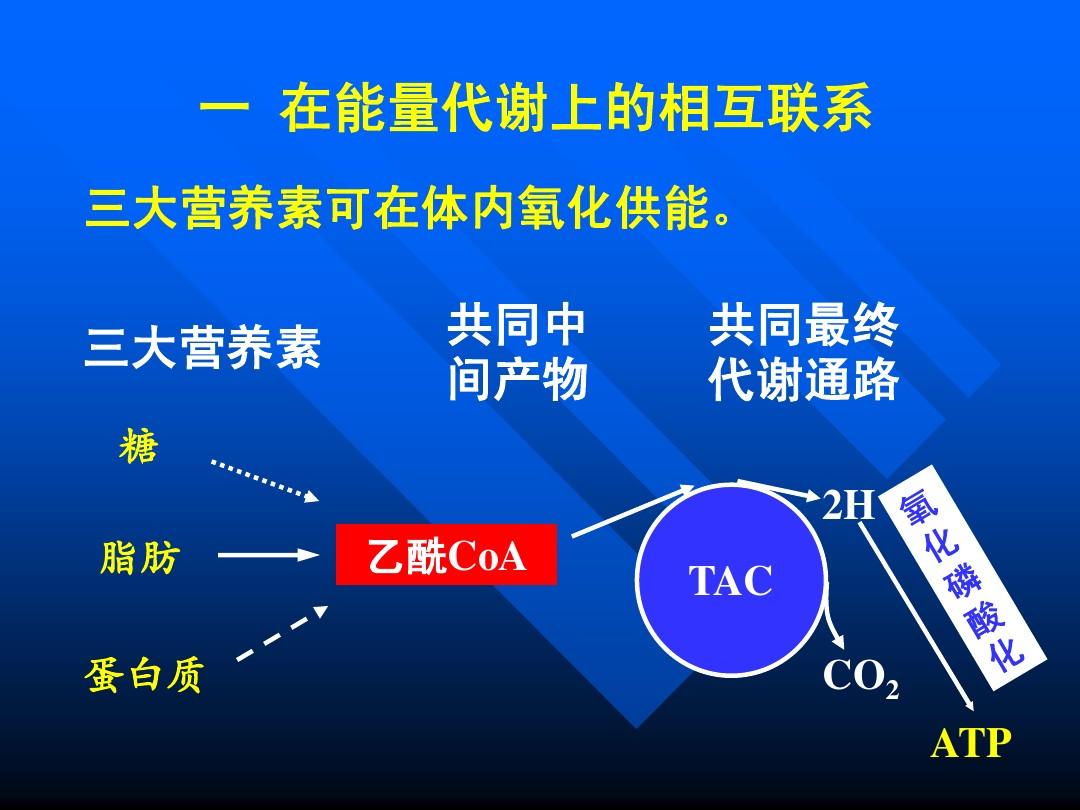 心衰的病人需要补硒吗(心衰的病人需要补硒吗)-硒宝网