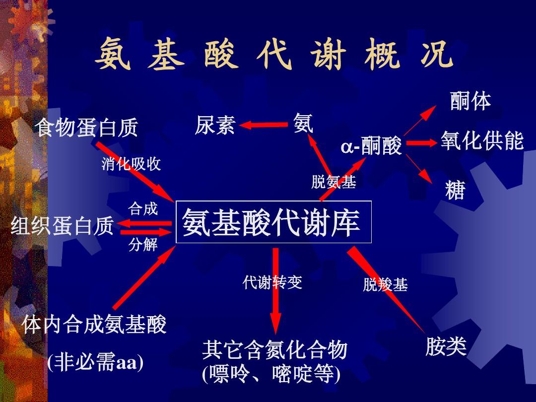 心衰的病人需要补硒吗(心衰的病人需要补硒吗)-硒宝网