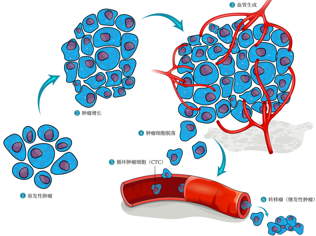 放化疗患者需要补硒吗(放化疗患者需要补硒吗)-硒宝网
