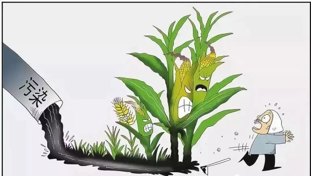 我们为什么要长期补硒(需要补硒)-硒宝网