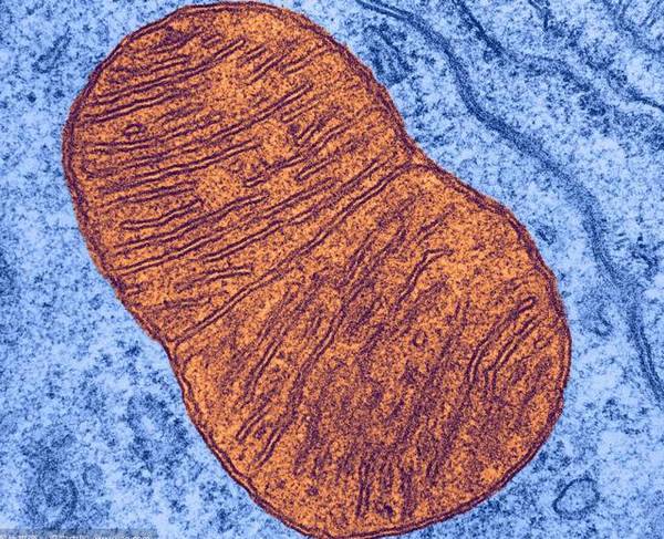 癌症患者为什么要补硒(癌症补硒)-硒宝网