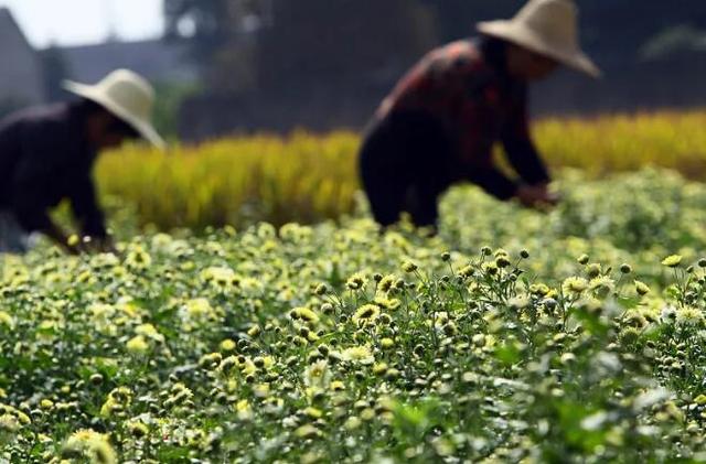 最好的补硒产品有哪些（补充硒产品）-硒宝网