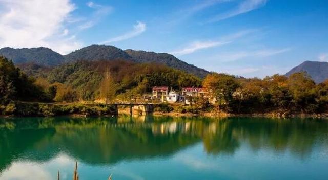 最好的补硒产品有哪些（补充硒产品）-硒宝网