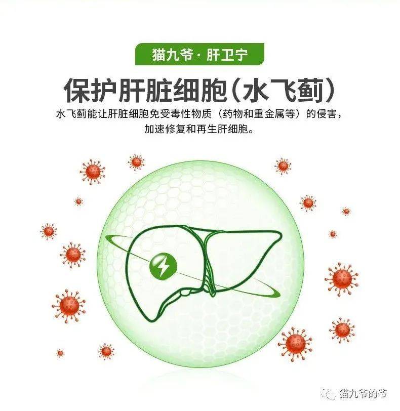 乙肝治愈后需要补硒吗(乙肝可以吃补硒的药吗)-硒宝网