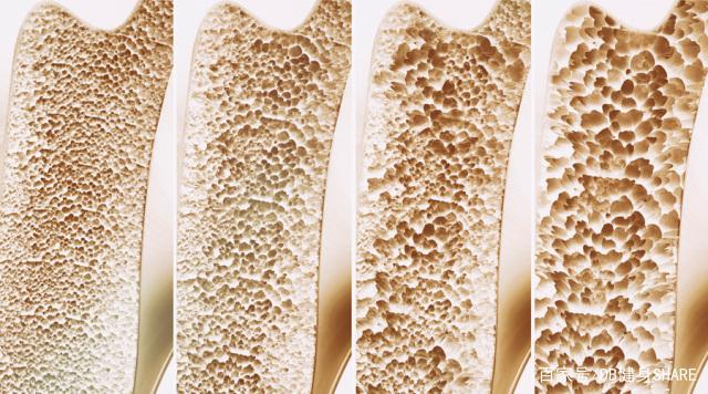 补锌和补硒的作用区别(补锌和补硒)-硒宝网