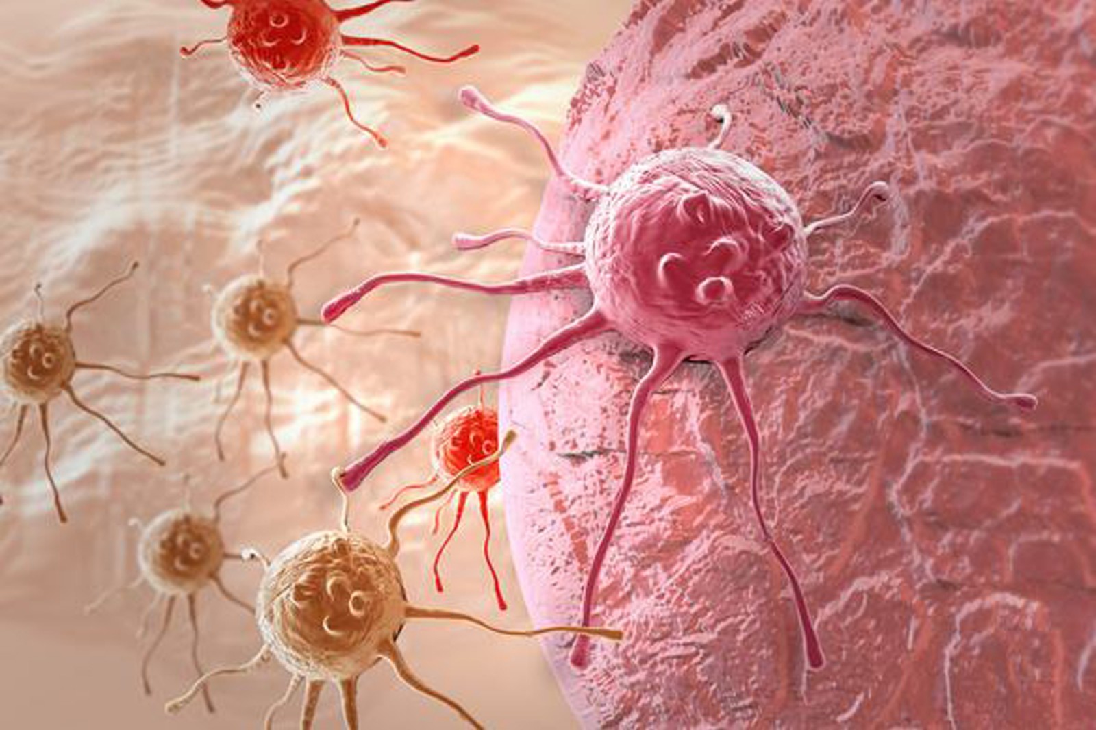 手术后吃什么补硒最快（补硒之后）-硒宝网