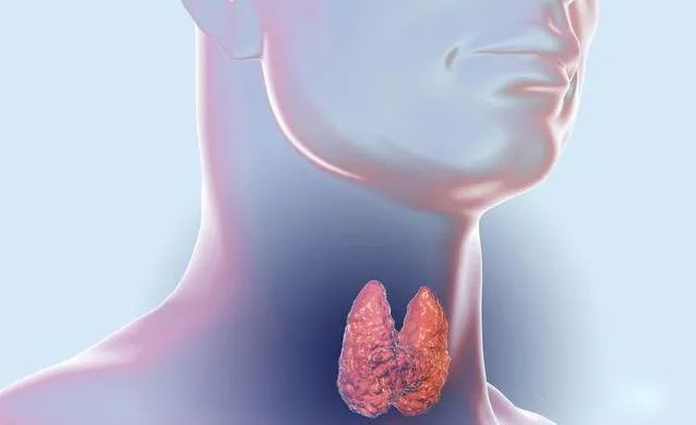 补硒治甲状腺吗怎么吃（治补甲状腺吃硒片有用吗）-硒宝网