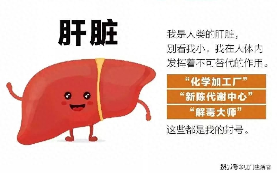 补硒多久对血糖有帮助(补硒对血糖高有好处吗)-硒宝网