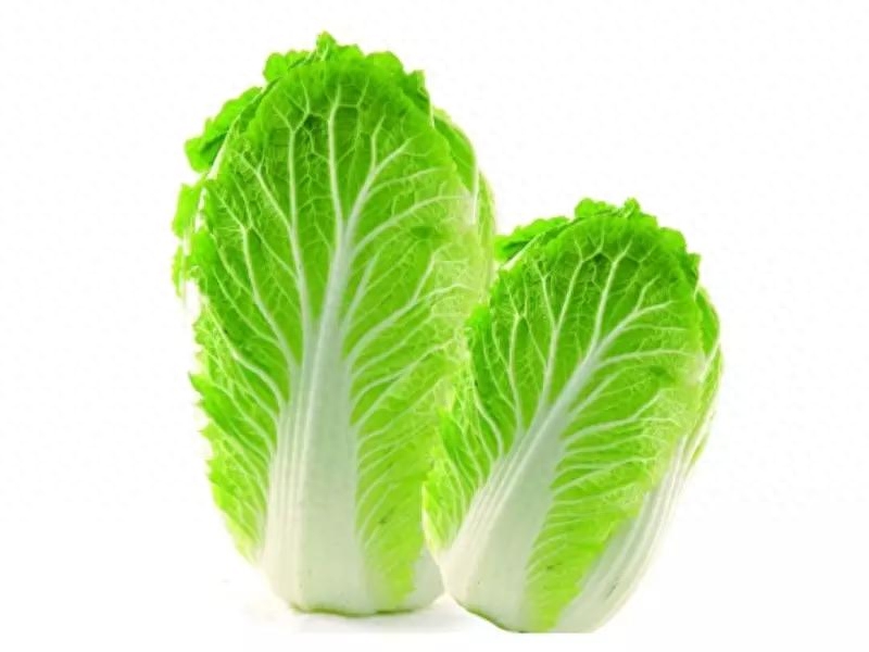 海参是补硒吗还是补血(请问海参硒含量多少)-硒宝网