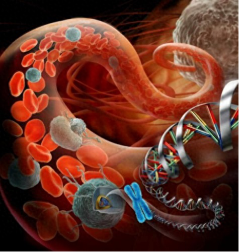 化疗补硒的产品有那些（化疗病人补硒有效果吗）-硒宝网