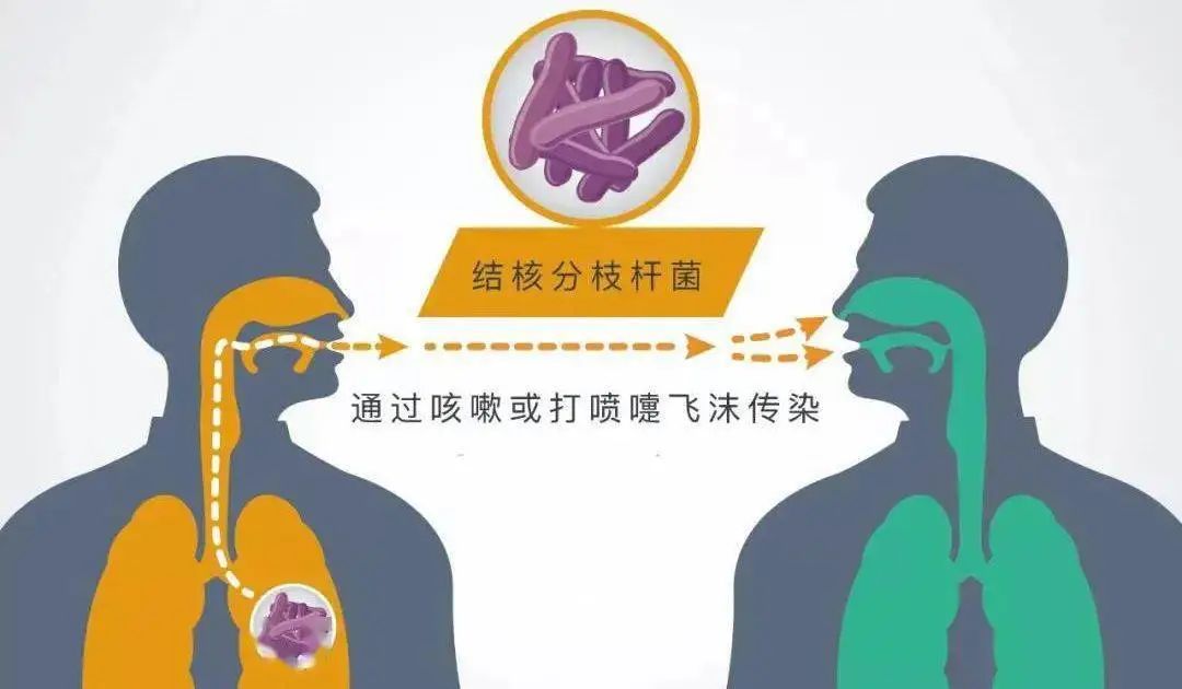 结核病人是否需要补硒(病人补结核是否需要硒片)-硒宝网