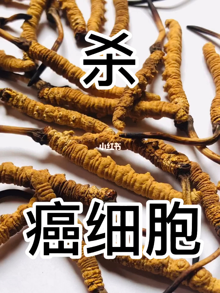 肾移植患者可以补硒吗(肾移植后可以补硒吗)-硒宝网