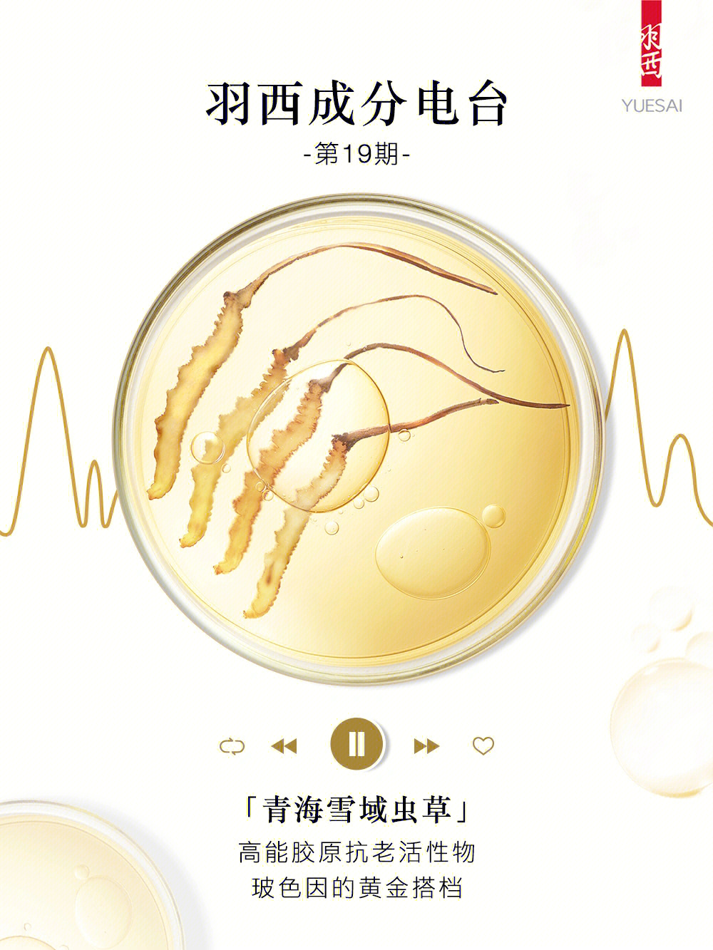 肾移植患者可以补硒吗(肾移植后可以补硒吗)-硒宝网