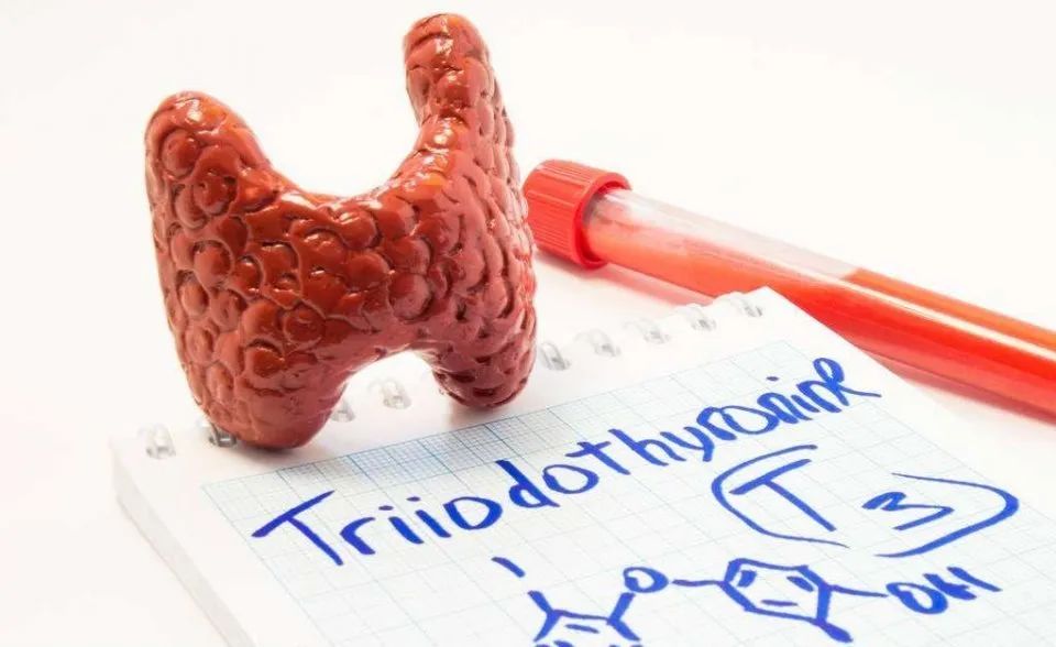 甲状腺切除后能补硒吗(甲状腺全切可以吃硒酵母片吗)-硒宝网