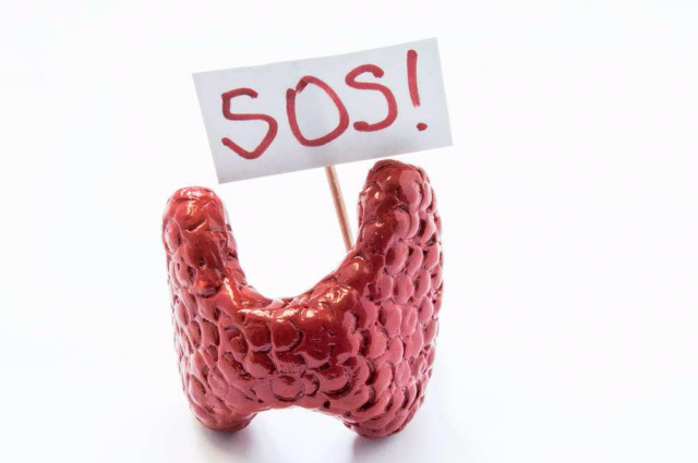 甲状腺切除后能补硒吗(甲状腺全切可以吃硒酵母片吗)-硒宝网