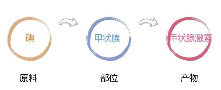 甲状腺切除后能补硒吗(甲状腺全切可以吃硒酵母片吗)-硒宝网