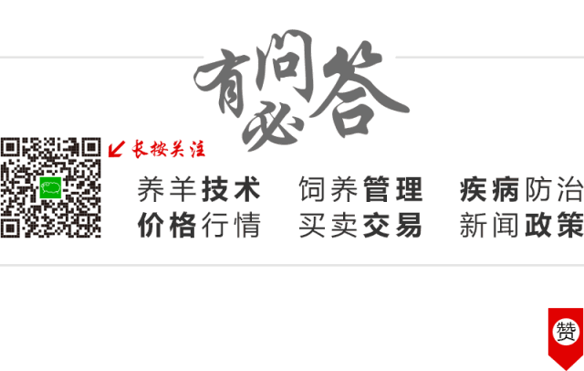 补硒能让母羊掉羔子吗(补硒能让母羊掉羔子吗)-硒宝网