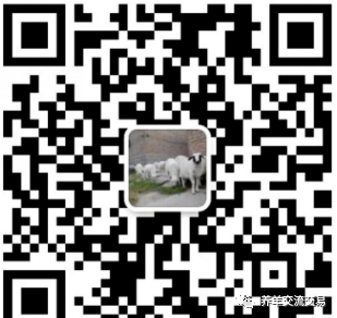 补硒能让母羊掉羔子吗(羔羊补硒用什么药)-硒宝网