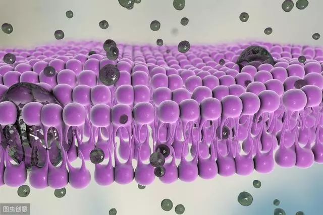 肝炎病人吃的补硒药品(肝炎病人吃的补硒药品)-硒宝网