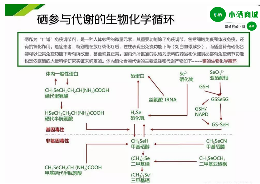 皮肤湿疹补硒有作用吗(湿疹补皮肤作用硒有效吗)-硒宝网