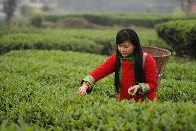 皮肤湿疹补硒有作用吗(湿疹补皮肤作用硒有效吗)-硒宝网