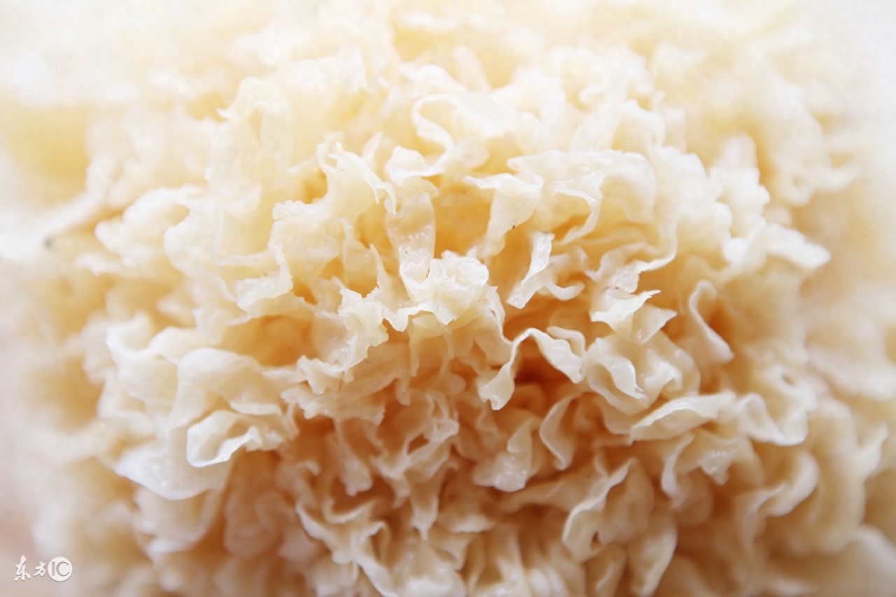 肺癌患者可以补点硒吗(肺癌补硒吃什么药)-硒宝网