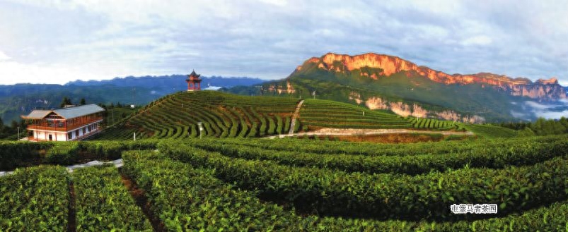 女人补硒吃什么药好呢(药物补硒好吗)-硒宝网