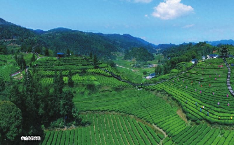 女人补硒吃什么药好呢(药物补硒好吗)-硒宝网