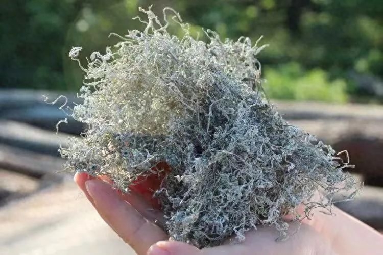 女人补硒吃什么药好呢(药物补硒好吗)-硒宝网