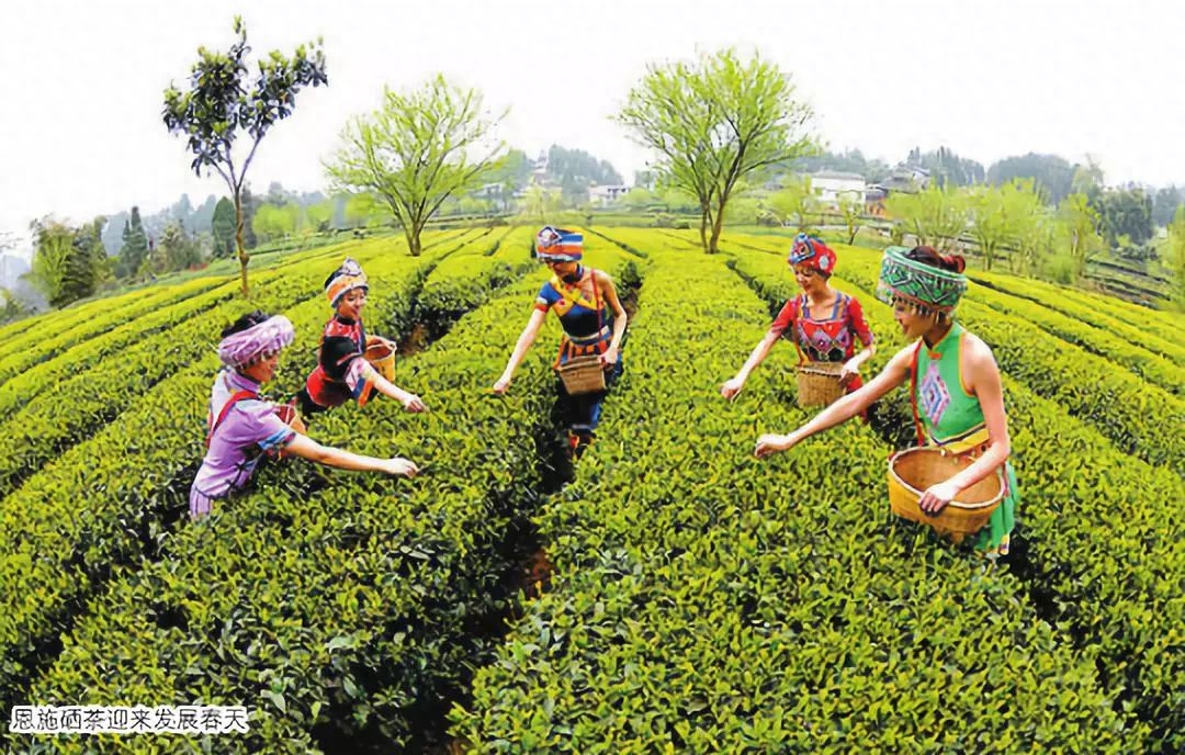 女人补硒吃什么药好呢(药物补硒好吗)-硒宝网