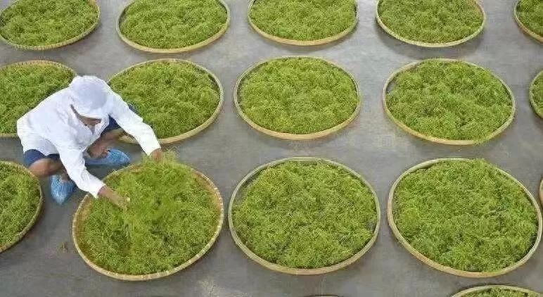 女人补硒吃什么药好呢(药物补硒好吗)-硒宝网