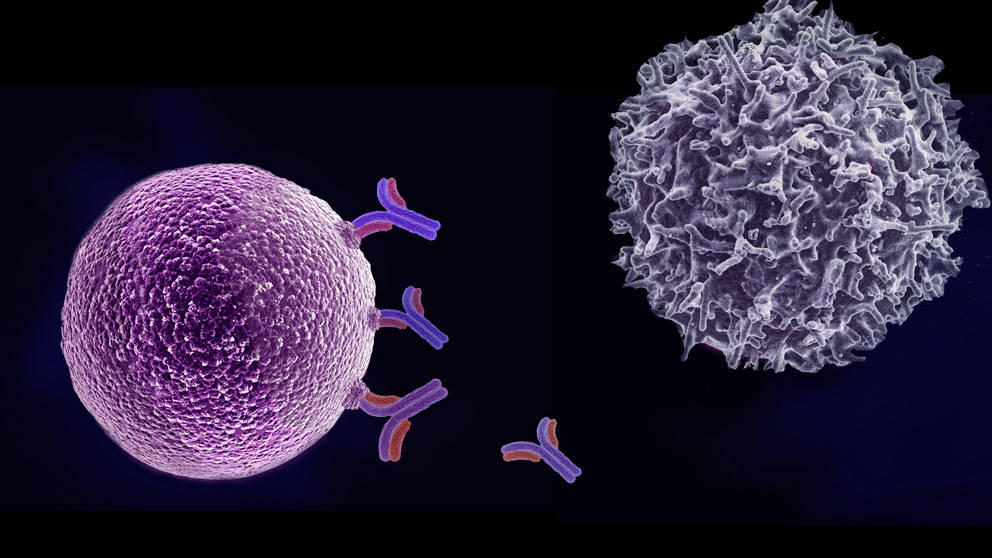 肿瘤患者都需要补硒吗（在肿瘤治疗中补充硒元素）-硒宝网