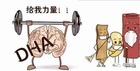 补硒是不是造成钙流失(钙流失需要补钙吗)-硒宝网