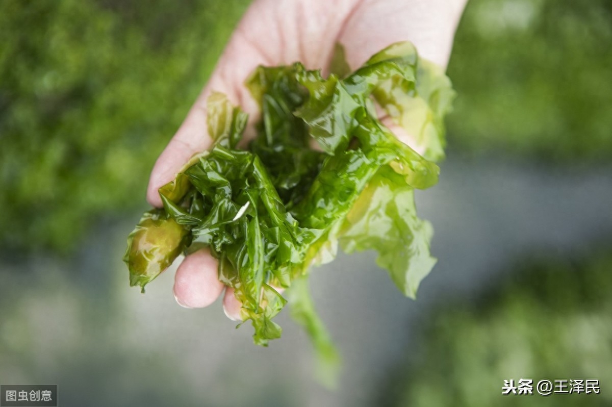 肿瘤患者补硒有啥好处(肿瘤吃硒有用吗)-硒宝网