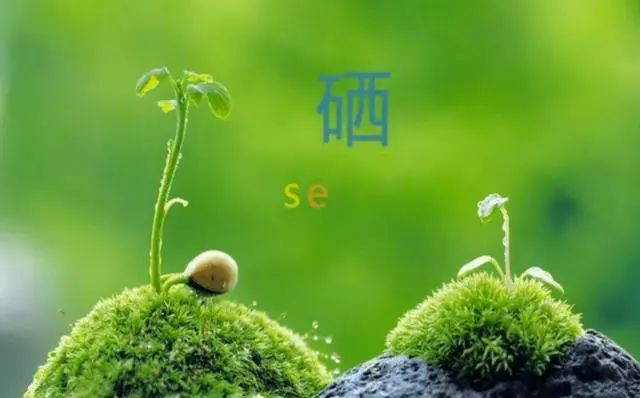 医生为什么不建议服用硒片？(不推荐硒酵母的原因）-硒宝网