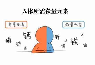 哪些杂粮是补硒元素的(含硒的杂粮)-硒宝网