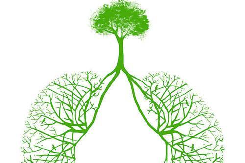 补硒能降低肿瘤标记吗(硒对肿瘤)-硒宝网