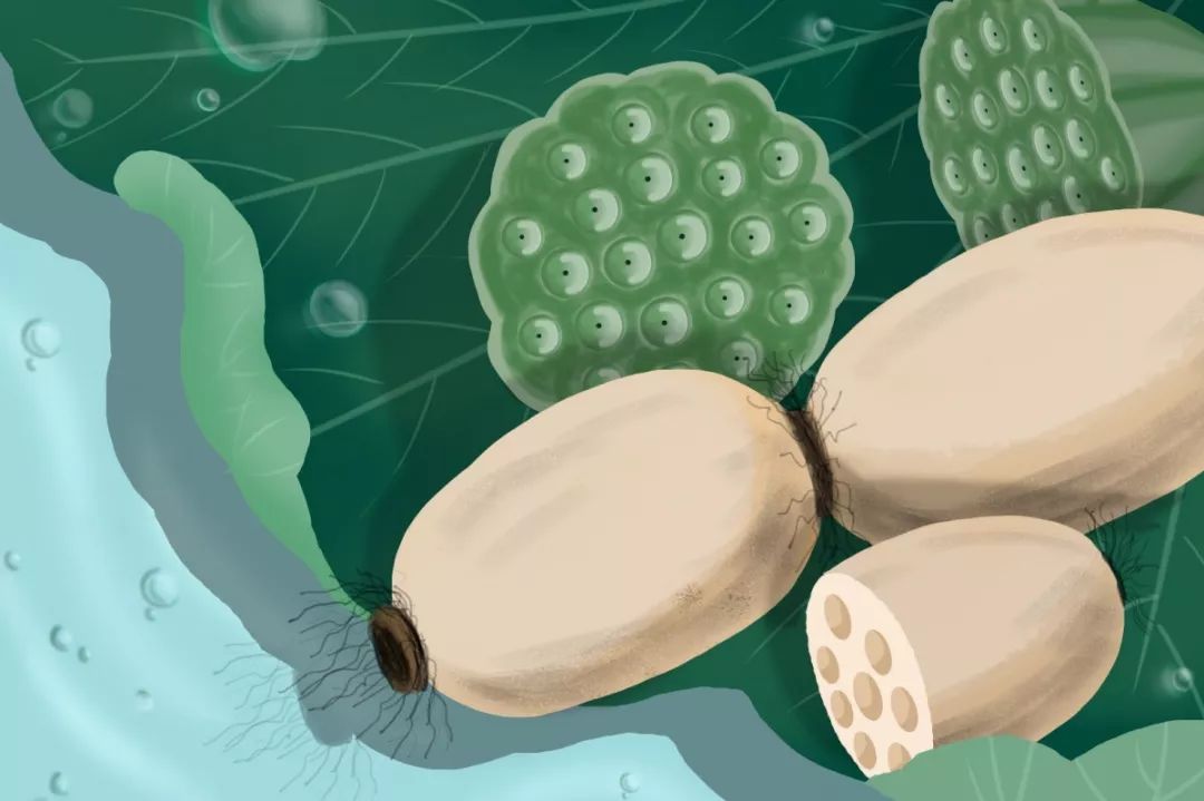 补肺吃哪种硒效果好些(补硒对肺气肿有好处吗)-硒宝网