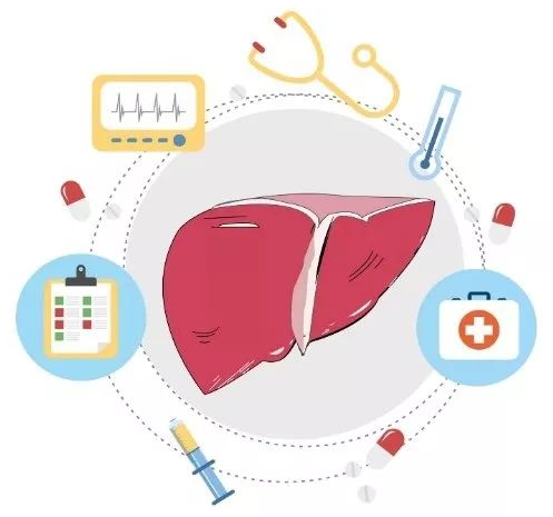 肝损伤每天需要补硒吗(肝病补硒吃什么硒片)-硒宝网