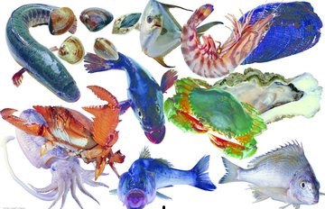 补硒 什么东西含量高(补硒 什么东西含量高)-硒宝网