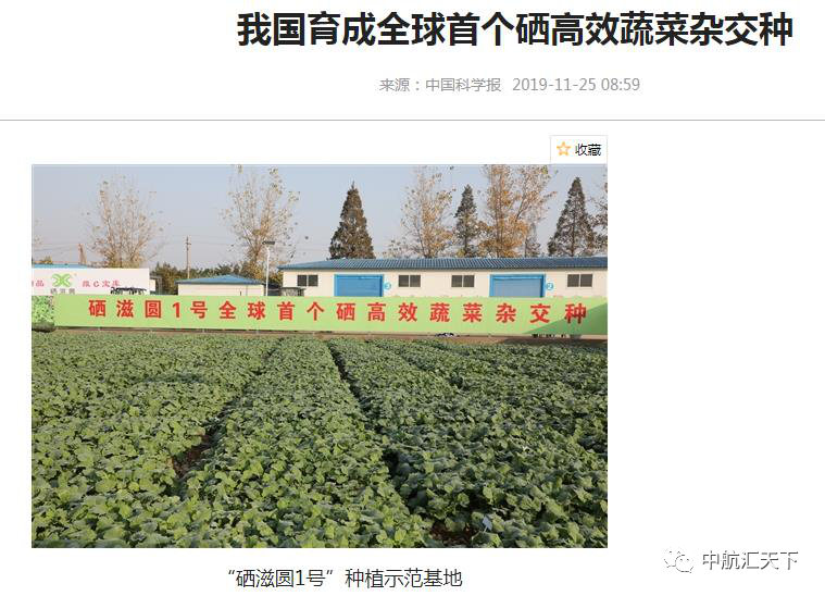 如何吃蒜才能补硒元素（蒜补元素吃才能硒吸收吗）-硒宝网