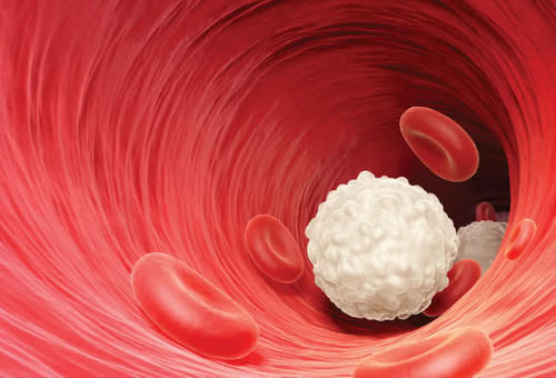 补麦芽硒有调理反应吗(补充麦芽硒到底好不好)-硒宝网