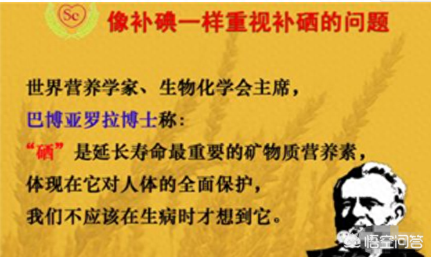 补硒吃药好还是食物好（好吃药补食物硒含量多少）-硒宝网