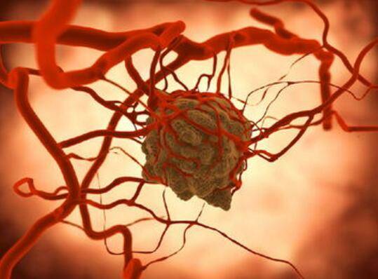 补麦芽硒有调理反应吗(麦芽硒补多了会有什么症状)-硒宝网