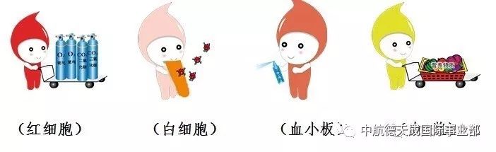 补硒的调理反应多久好（补硒后身体有哪些反应）-硒宝网