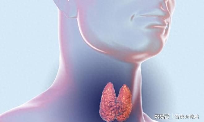 甲状腺肿瘤需要补硒吗(肿瘤补甲状腺需要硒元素多少)-硒宝网