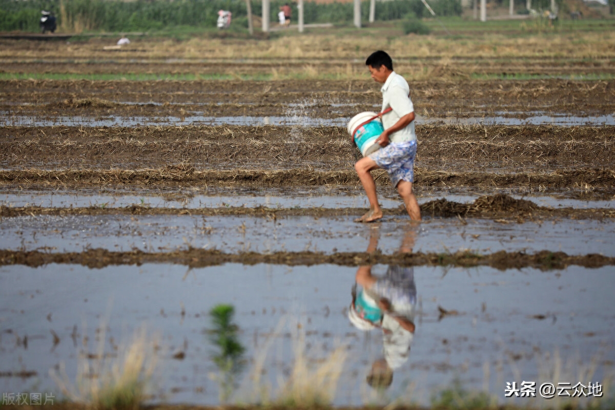 男人补锌和补硒的好处（男人补充锌硒）-硒宝网